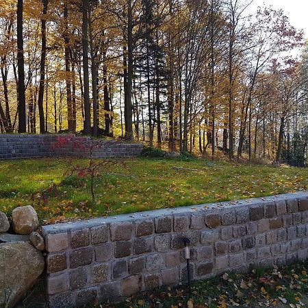 Apartmán Sarna Karkonosze Bukowiec  Exteriér fotografie