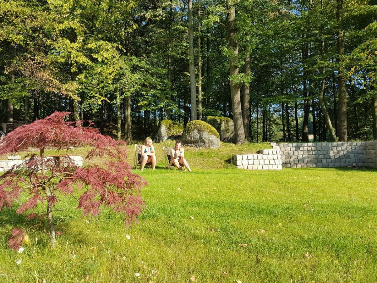 Apartmán Sarna Karkonosze Bukowiec  Exteriér fotografie